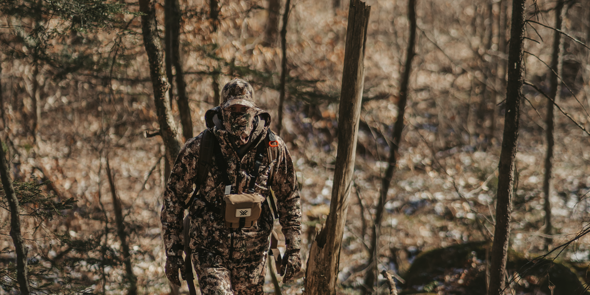 outsight